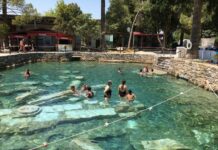 Fatih Döneminde Osmanlı Resim Sanatının Gelişimi ve Batı Etkisi