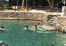 Paolo Giovio’nun Osmanlı Portreleri ve Floransa Bağlantısı